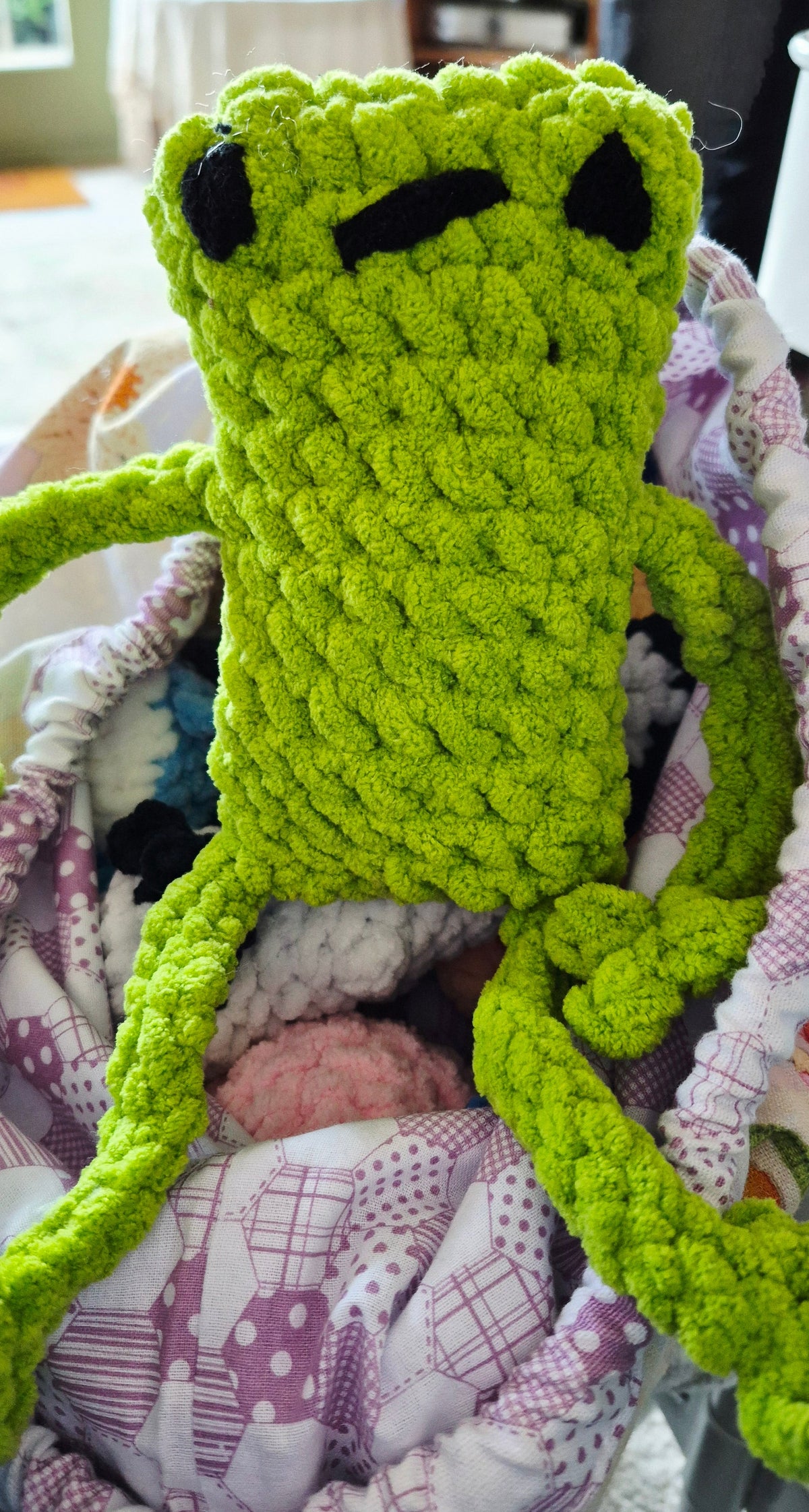 Leggy Frog