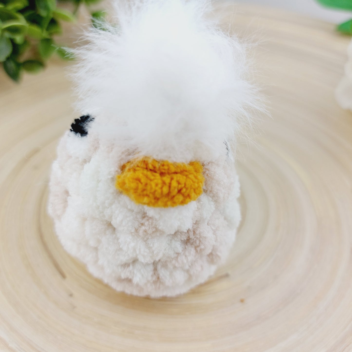 Hatching chick