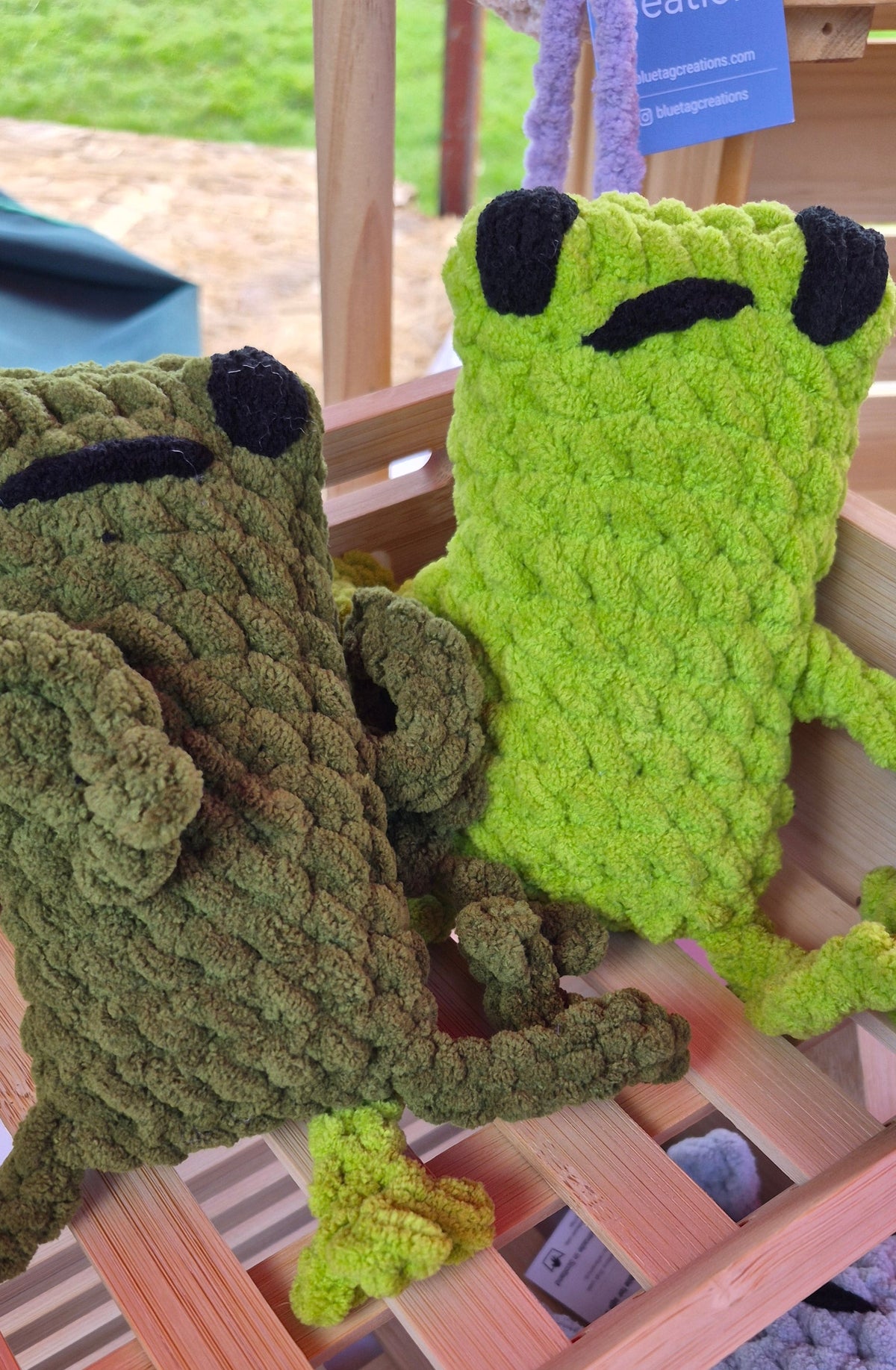 Leggy Frog