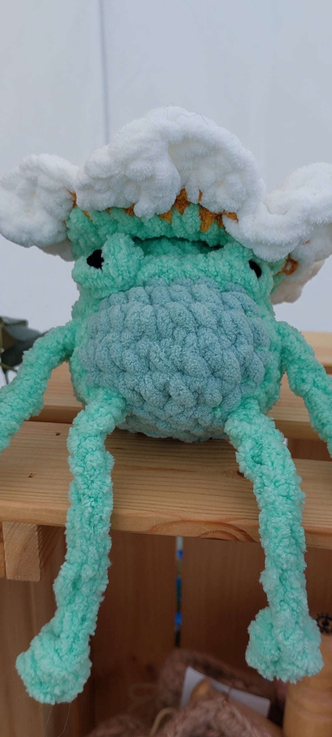 Whimsy Frog